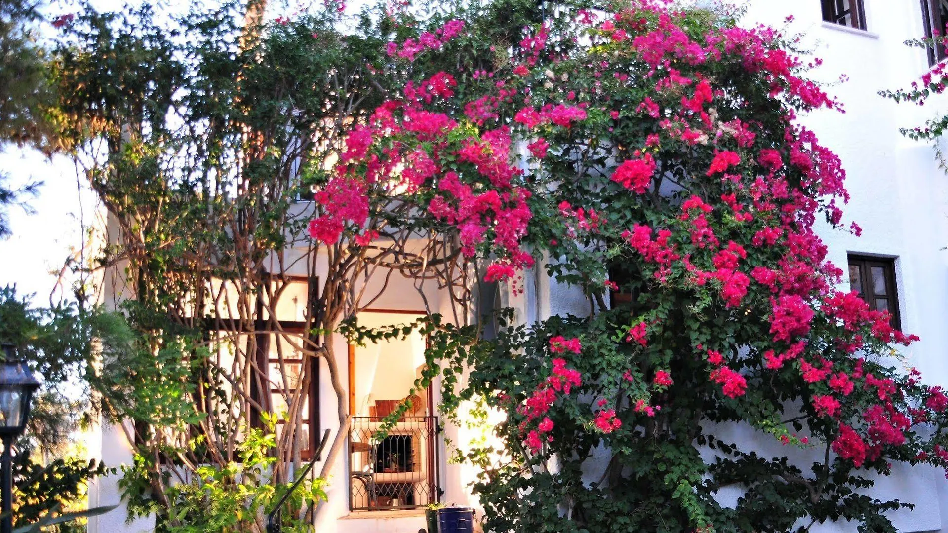 Uma Casa A Beira Sol Bed & Breakfast Lagos Portugal
