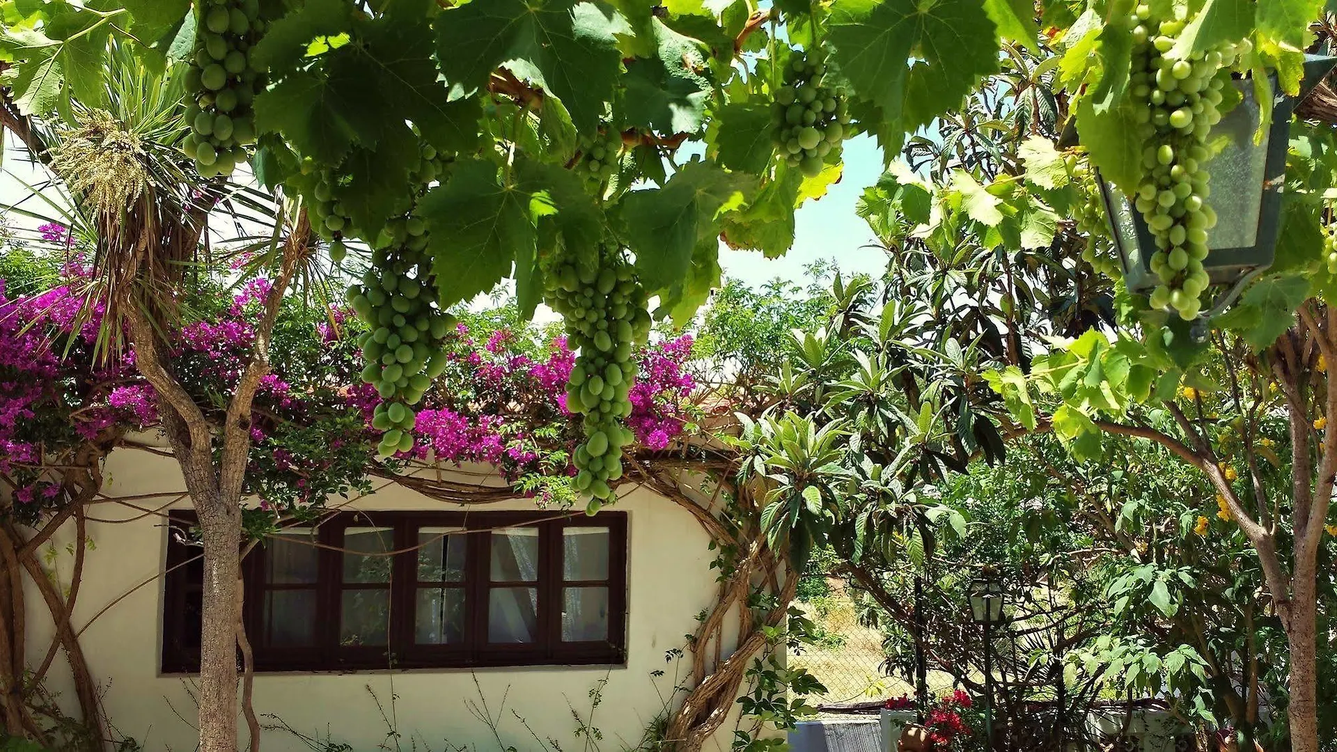 Uma Casa A Beira Sol Bed & Breakfast Lagos