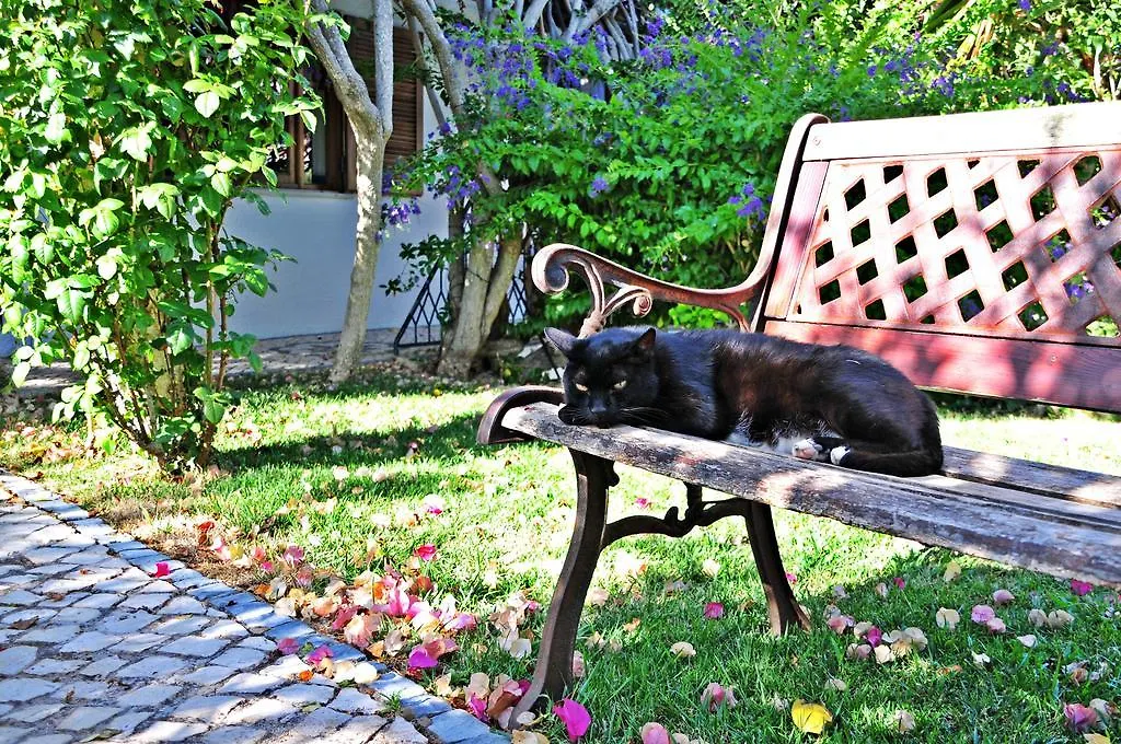 Uma Casa A Beira Sol Bed & Breakfast Lagos
